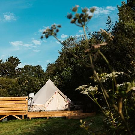 Willow Valley Glamping Bude Kültér fotó