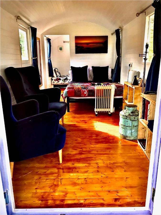 Willow Valley Glamping Bude Kültér fotó